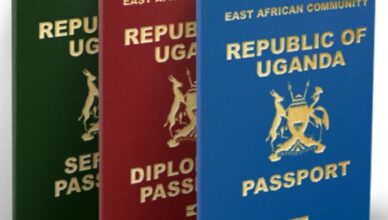 Uganda-Denmark passport dispute leaves Ugandan students stranded