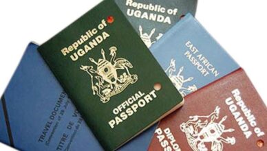 Thousands of passports Set to be destroyed