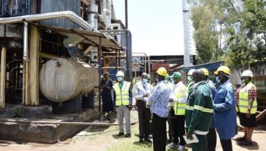 Government's closure of sugar factory leaves 600 jobless A tale of missteps and unfulfilled promises