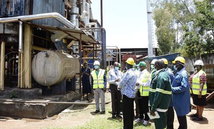 Government's closure of sugar factory leaves 600 jobless A tale of missteps and unfulfilled promises